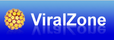 Apply to attend the SIB Course on ViralZone